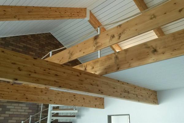 Hausrenovierung / Trockenbau