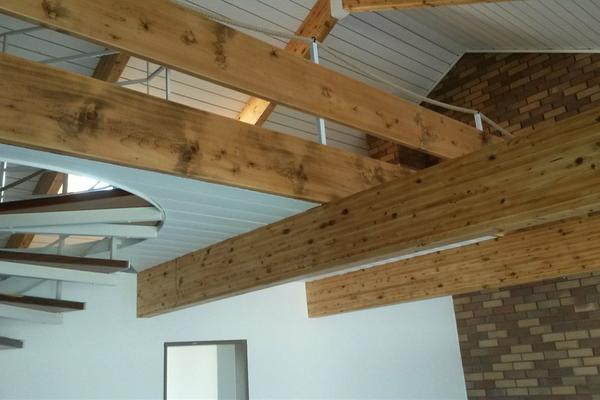 Hausrenovierung / Trockenbau