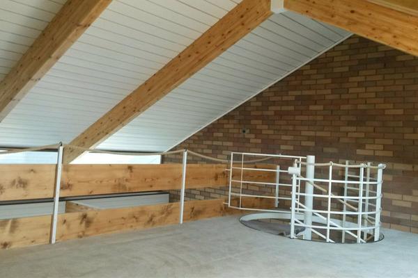 Hausrenovierung / Trockenbau